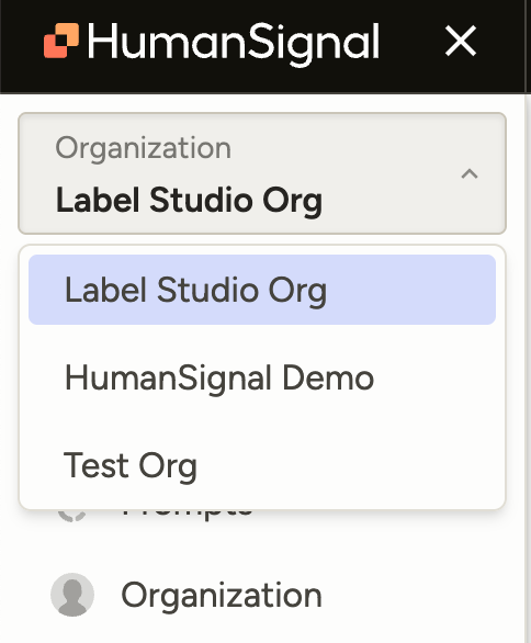 Screenshot of org switcher